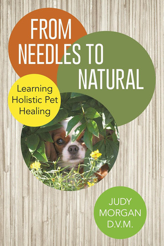 From Needles to Natural - Learning Holistic Pet Healing