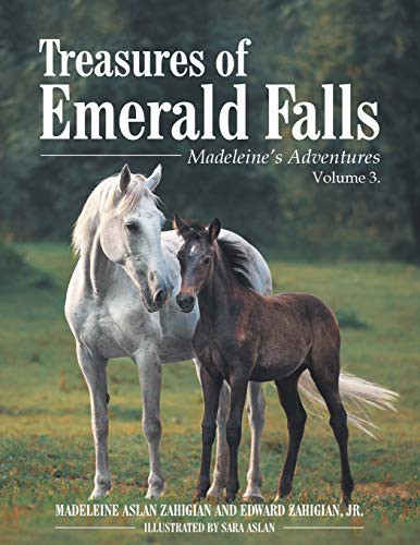 Treasures of Emerald Falls Madeleine's Adventures - Volume 3.
