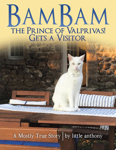 BamBam the Prince of Valprivas! Gets a Visitor
