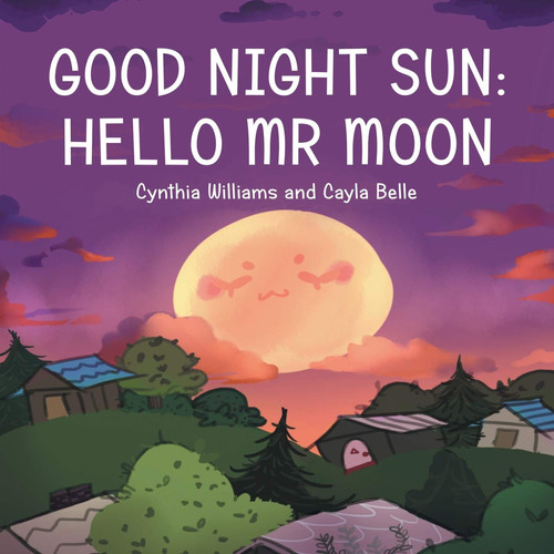 Good Night Sun Hello Mr Moon