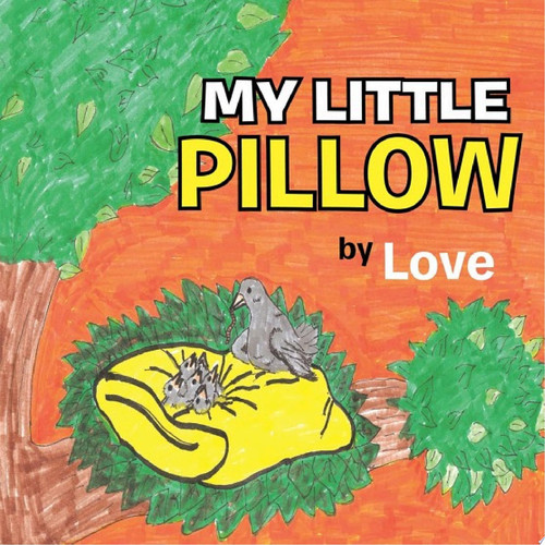 My Little Pillow