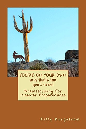 You're On Your Own...And That's The Good News! Brainstorming for Disaster Preparedness