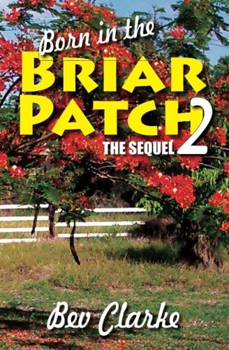 Born in the Briar Patch 2 Beneath the Flowering Flamboyants