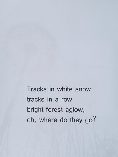 Tracks In White Snow Where Do They Go?