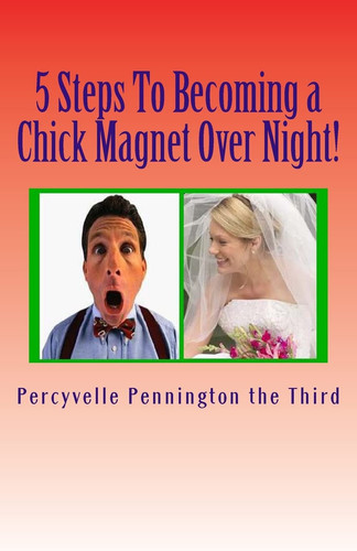 5 Steps to Becoming a Chick Magnet Over Night! The Single Man's Guide to Making a Woman Love You