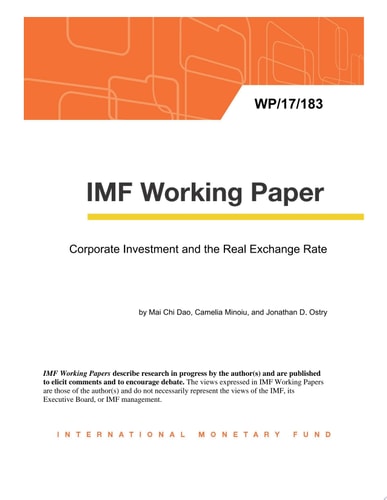 Corporate Investment and the Real Exchange Rate