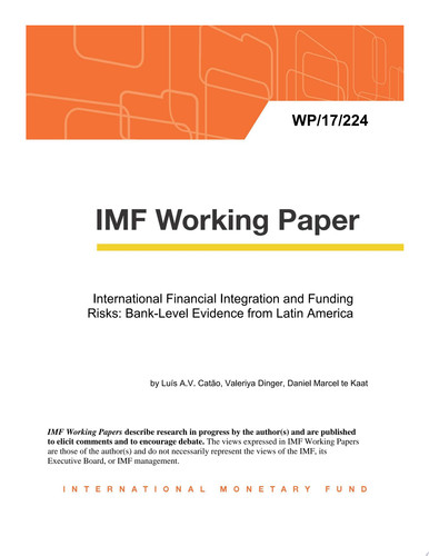 International Financial Integration and Funding Risks: Bank-Level Evidence from Latin America