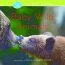 Baby Wild Animals