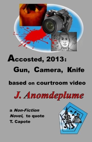 Accosted, 2013: Gun, Camera, Knife Based on Courtroom Video
