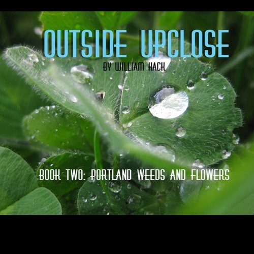 Outside Upclose Two Portland Weeds and Flowers