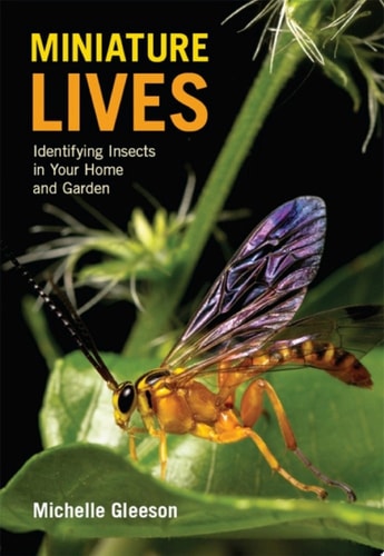 Miniature Lives Identifying Insects in Your Home and Garden