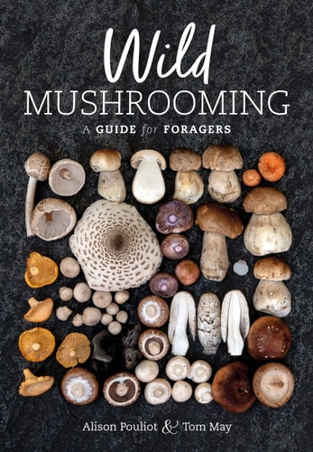 Wild Mushrooming A Guide for Foragers