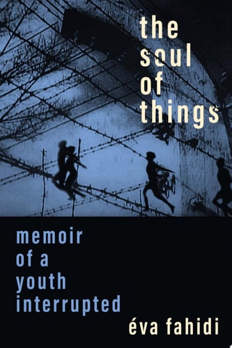 Soul of Things Memoir of a Youth Interrupted