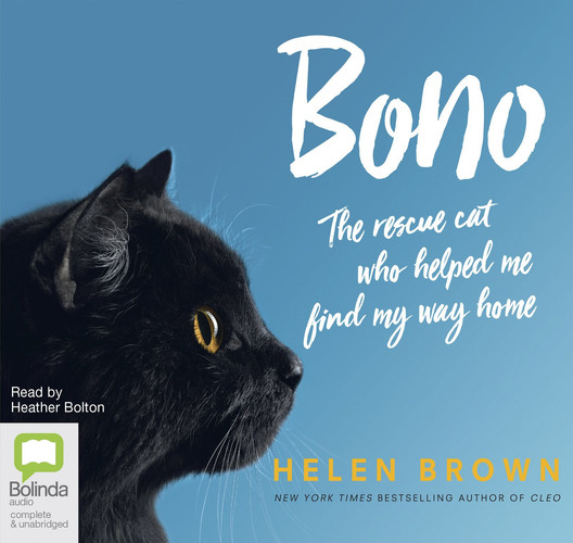 Bono: The Rescue Cat Who Helped Me Find My Way Home