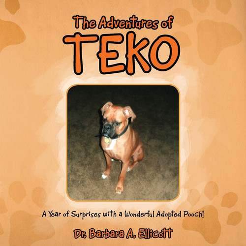 The Adventures of Teko A Year of Surprises with a Wonderful Adopted Pooch!