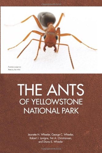 The Ants of Yellowstone National Park