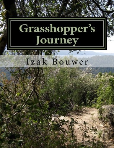 Grasshopper's Journey
