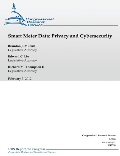 Smart Meter Data Privacy and Cybersecurity