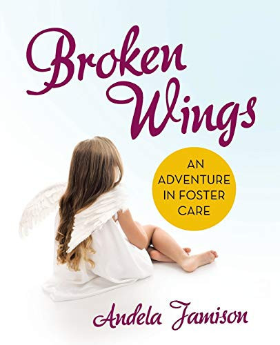 Broken Wings An Adventure in Foster Care
