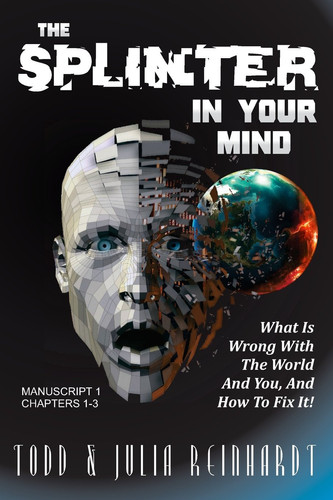 The Splinter in Your Mind What's Wrong with the World and You, and How to Fix It