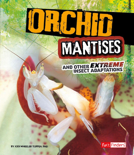 Orchid Mantises and Other Extreme Insect Adaptations
