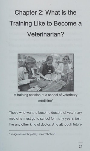 Career As a Veterinarian What They Do, How to Become One, and What the Future Holds!