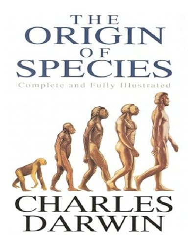 Edition published by CreateSpace Independent Publishing Platform