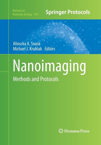 Nanoimaging Methods and Protocols