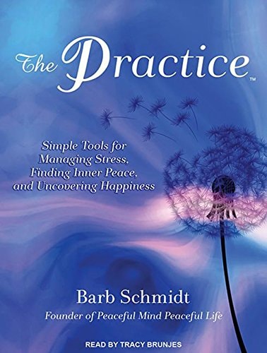 The Practice: Simple Tools for Managing Stress, Finding Inner Peace, and Uncovering Happiness