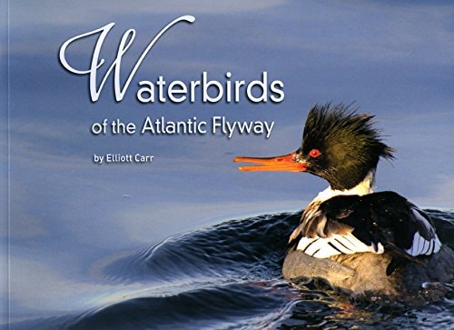 Waterbirds of the Atlantic Flyway
