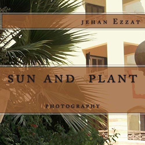 Sun and Plant Photography