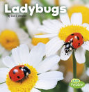 LADYBUGS.