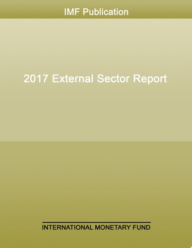 2017 External Sector Report
