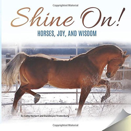 Shine On! Shiny Bits of Wisdom