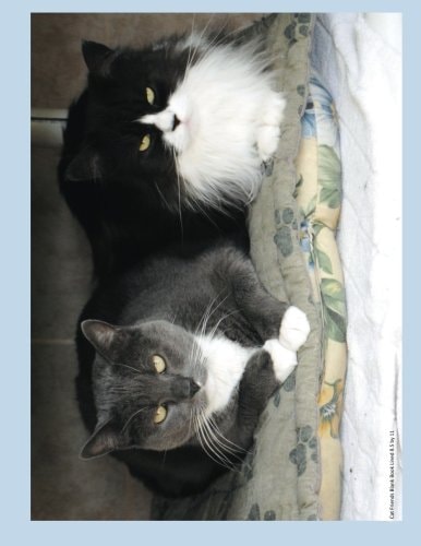 Cat Friends Blank Book: Lined 8.5 x 11 Inch, 100 Page Lined Blank Book Suitable as a Journal, Notebook, or Diary