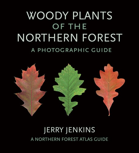 Woody Plants of the Northern Forest A Photographic Guide