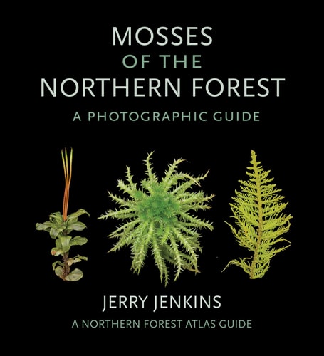 Mosses of the Northern Forest A Photographic Guide