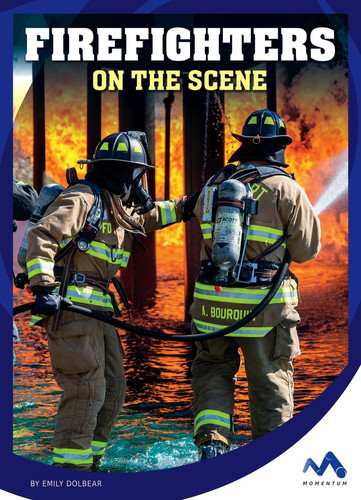 Firefighters on the scene