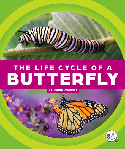 The life cycle of a butterfly