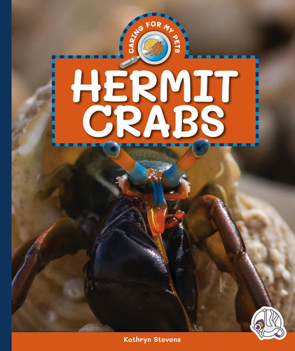 Hermit crabs