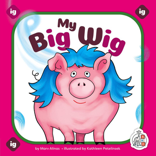 My big wig