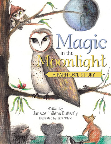 Magic in the Moonlight A Barn Owl Story