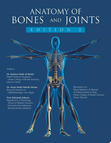Anatomy of bones and joints