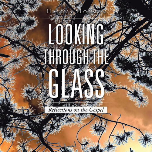 Looking through the Glass