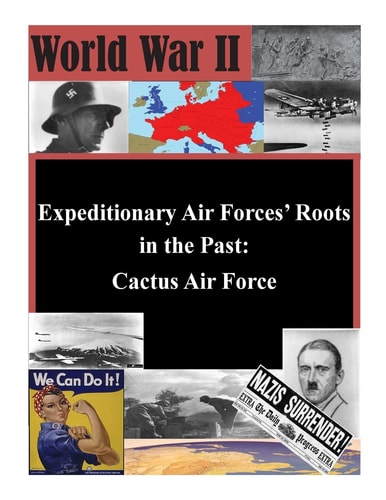 Expeditionary Air Forces' Roots in the Past Cactus Air Force