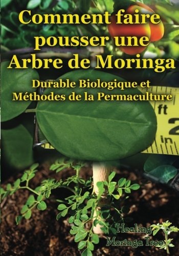 Comment Faire Pousser une Arbre de Moringa Durable Biologique et Méthodes de la Permaculture