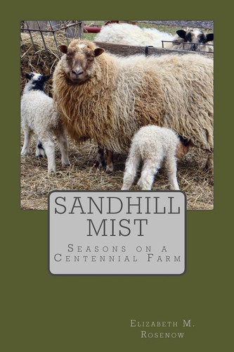 Sandhill Mist Seasons on a Centennial Farm