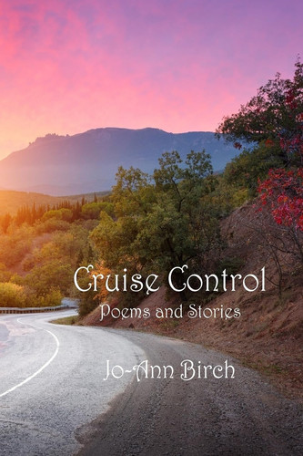 Cruise Control Poems and Stories