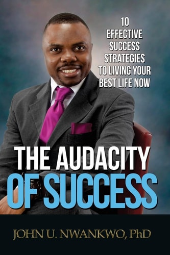 The Audacity Of Success 10 Effective Success Strategies To Living Your Best Life Now