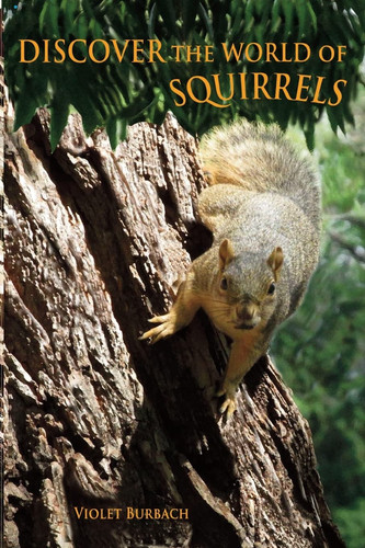 Discover the World of Squirrels Illustrated Kids Book With Fun Facts About Squirrels And Builds Kids Vocabulary